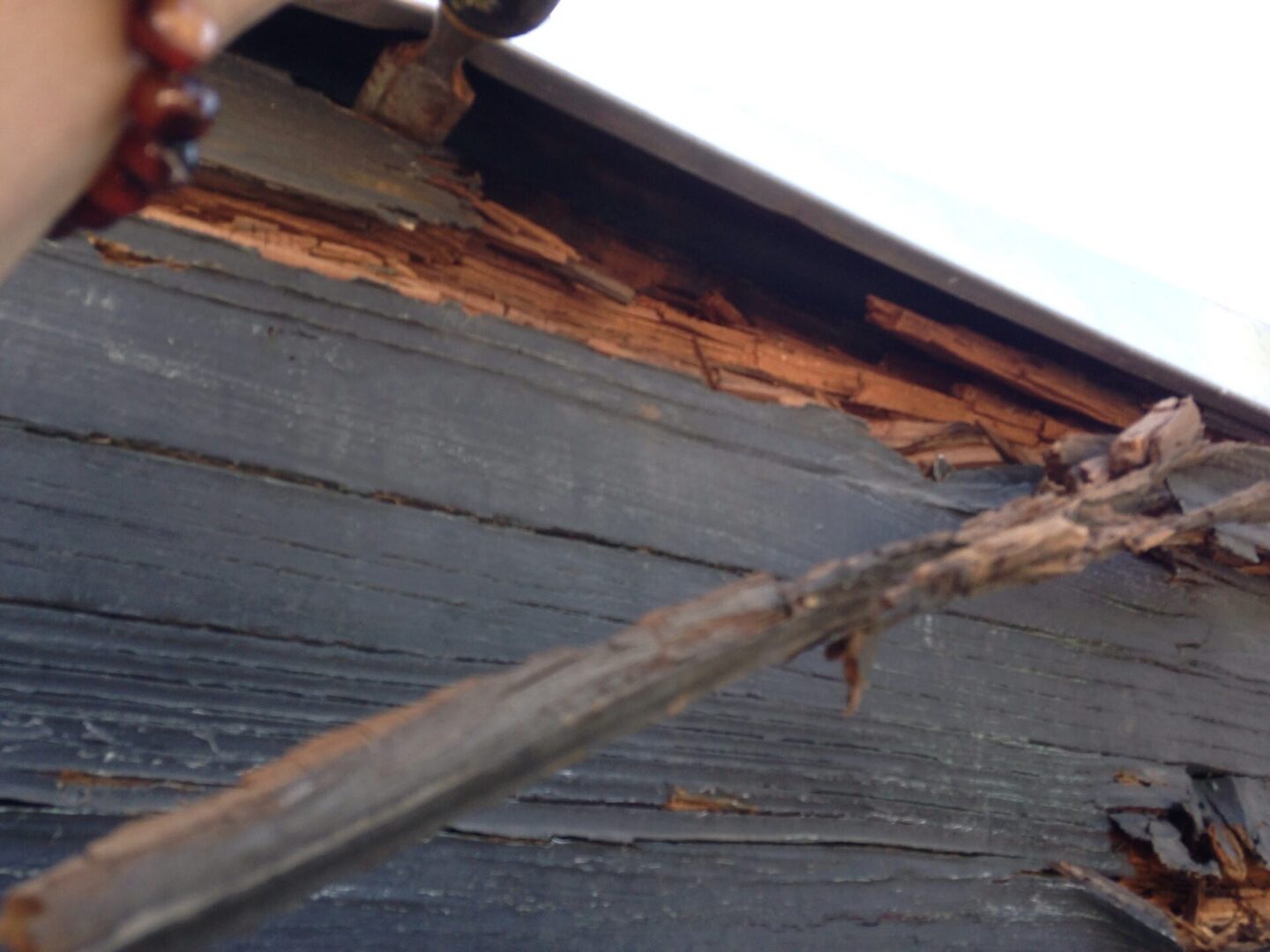 A rotten branch hanging from the side of a house.