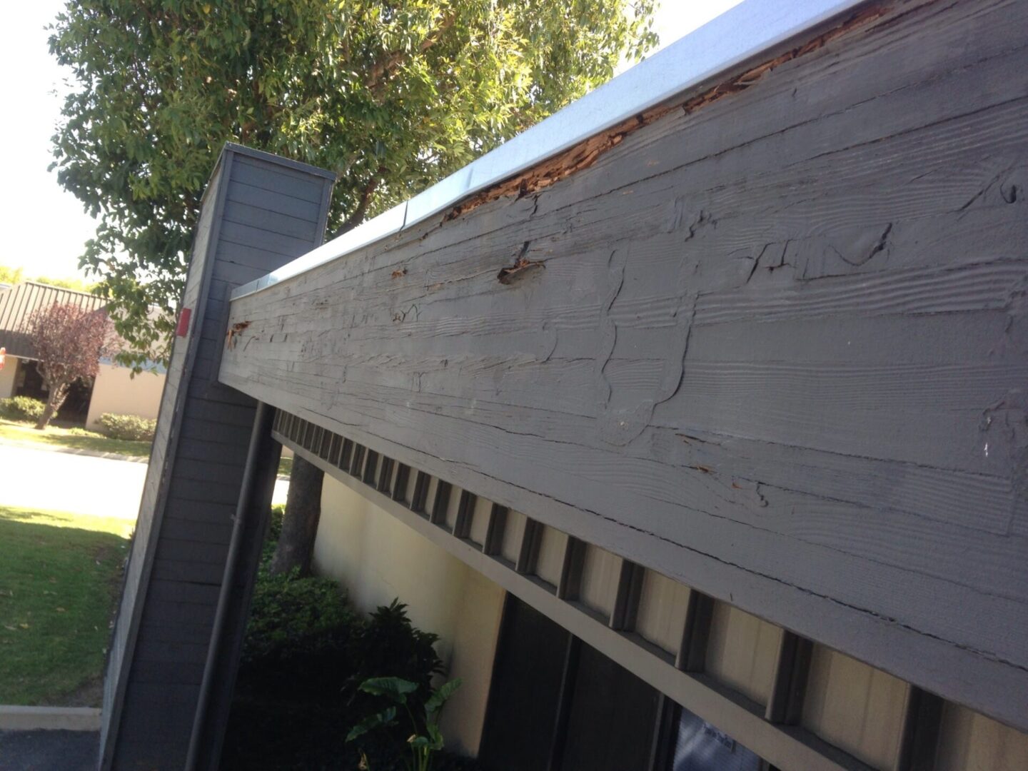 A close up of the side of a building with bees on it.