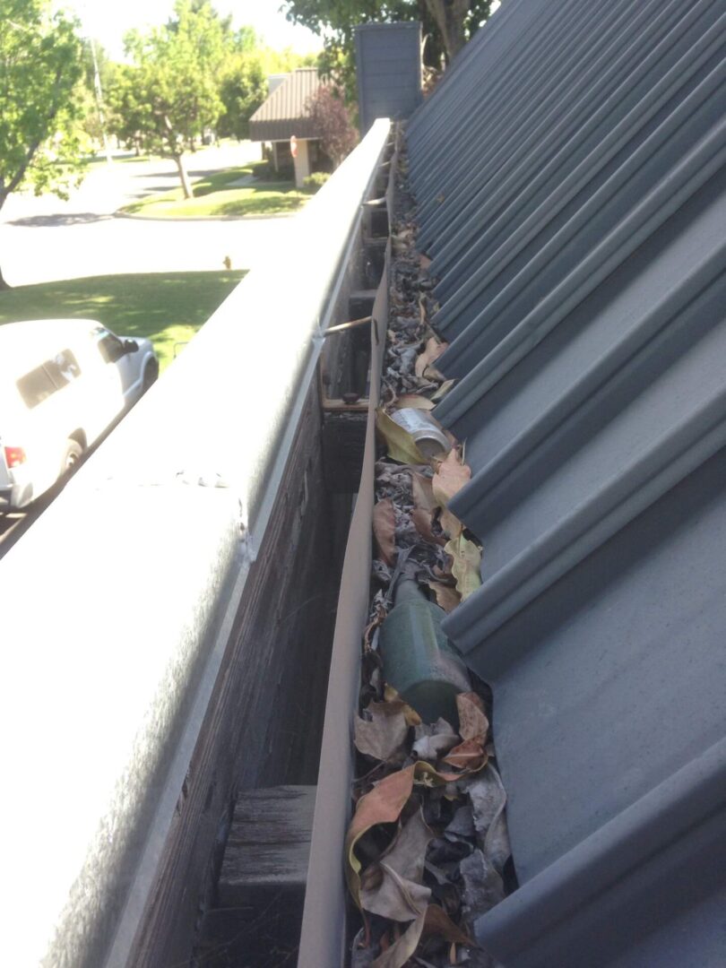 A gutter filled with leaves and debris on the side of a house.