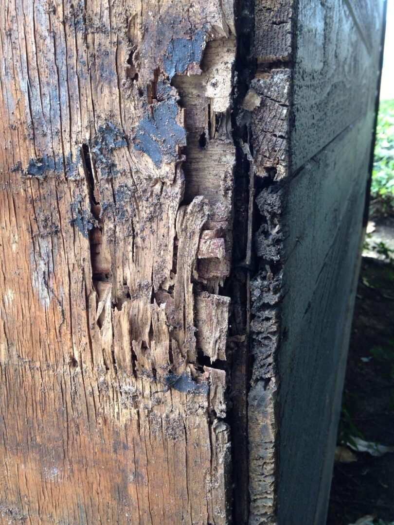 A close up of the wood on a fence