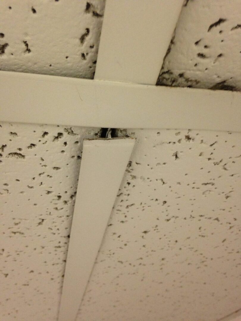 A ceiling with many black spots on it