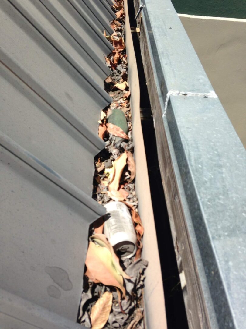 A gutter with leaves all over it