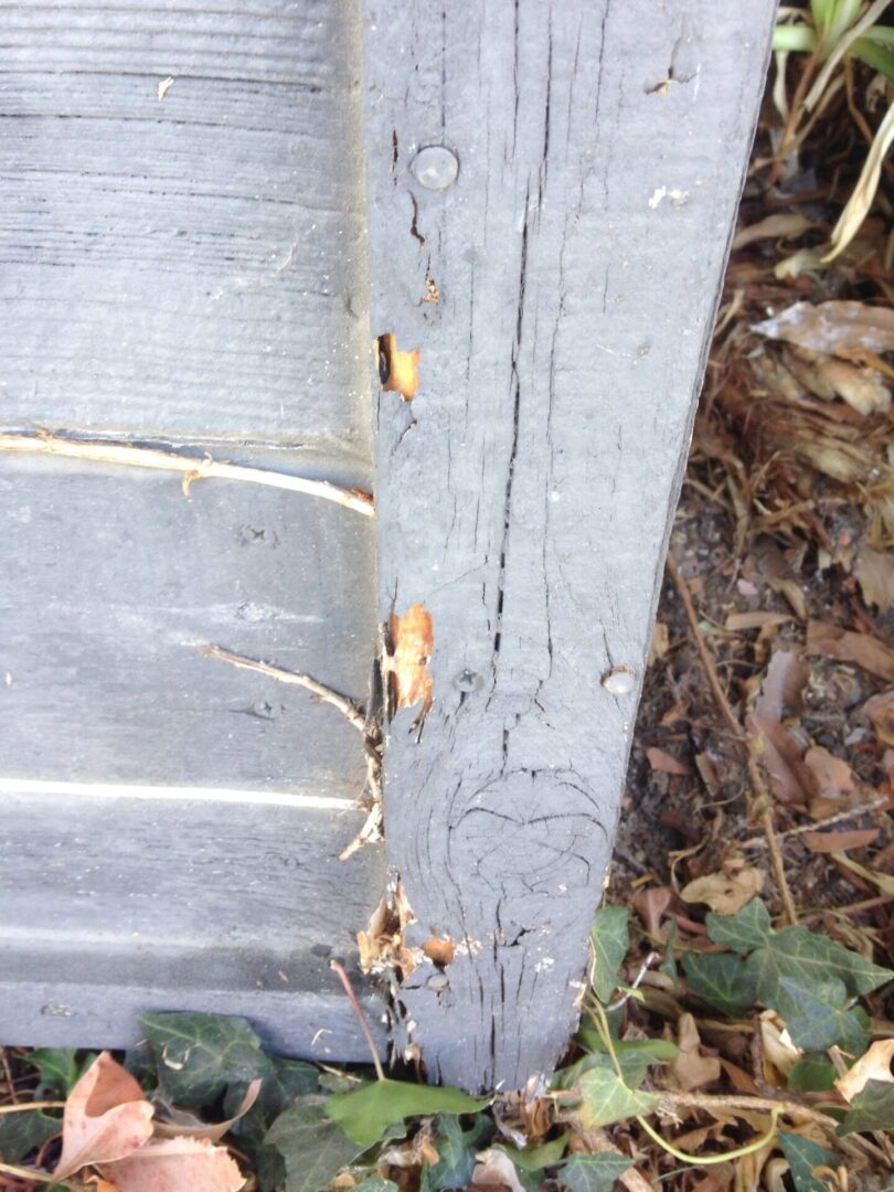 A close up of the side of a bench