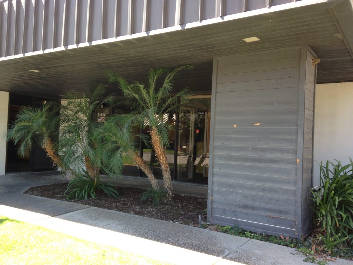 A building with palm trees and concrete walkway.