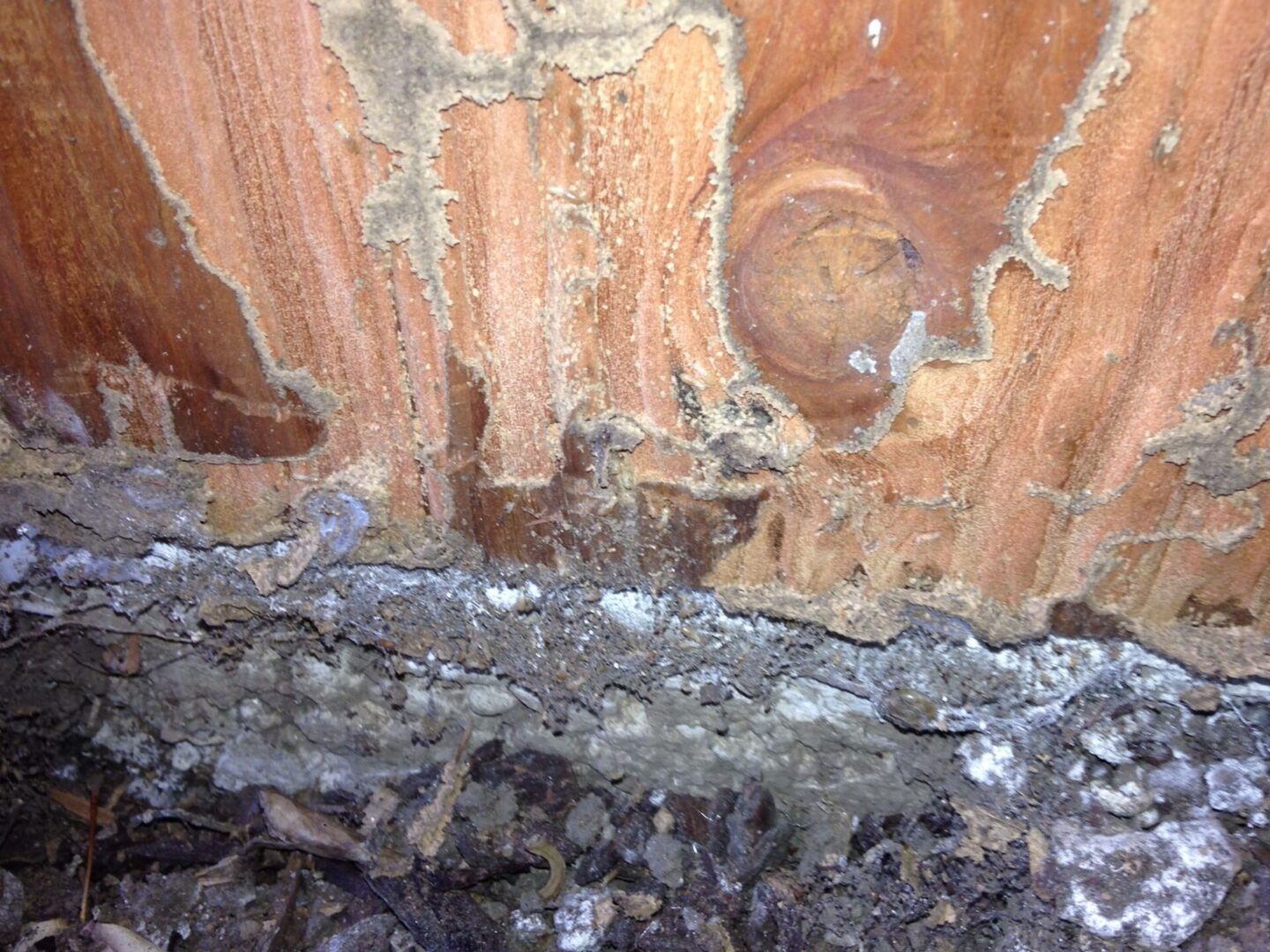 A close up of the wood and rocks in the ground