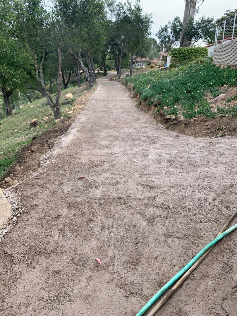 A dirt path with grass growing on it