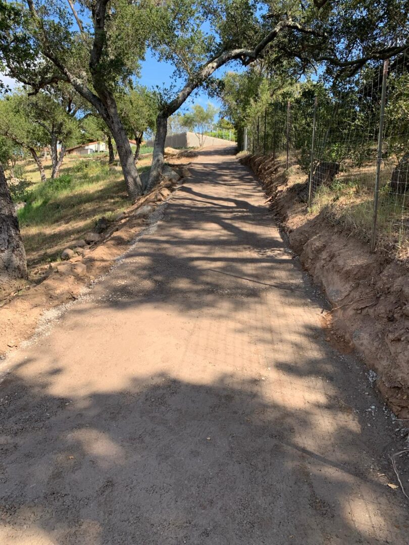 A dirt road with trees on both sides of it